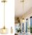 KARJOEFAR 110V Pendant Lamp with E26 7W Led Bulb