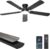 Ceiling Fans with Lights