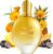EASYWELL Hair Perfume