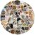 160pcs Cute Cat Stickers for Laptops,Different Style Cat Expressions and Movements Stickers for Notebooks, Mobile Case,Suitcase,Helmat,Skateboard