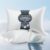 COZSINOOR Goose Down Feather Pillows Set of 2