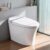 Smart Toilet,One Piece Toilet with Auto Open Close, Auto Flush, Foot Sensor Operation, Heated Seat，Warm Water & Dryer，Night Light，LED Display,White Remote Control