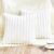 GRINEED 2 Pack Throw Pillow Covers