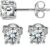 WES Silver Hypoallergenic Moissanite Stud Earrings