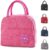 Small Portable Cute Lunch Bag for Boys Girls, Reusable Snack Bags with Front Pocket for Picnic Office Work Outdoor(Pink)