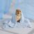 BEDSURE Cooling Pet Blanket