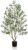 Olive Trees Artificial Indoor 5FT Tall, Faux Olive Tree with Black Basic Planter, Lifelike Fake Olive Plant Decorative, Silk Leaves and Premium Plastic Trunk for Home Living Room O
