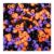 800Pcs 6x9mm Large Hole Plastic Pony Beads UV Color Changing Mix Bulk Hair Beads for Braids Bracelets Keychains DIY Craft Art Supplies