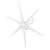 800W 6Blades 12V Permanent Magnet Wind Turbine Generator Power Kit