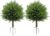 LUCEALBERI 2 Pack Outdoor Artificial Cedar Topiary Ball Trees
