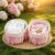 yuboo 2-Pack Pink Woven Cotton Rope Baskets with Bows – Cute Basket for Coquette Aesthetic Storage Bins – Decorative Pink Gift Basket, Bow Gift Set for Nursery, Bathroom, Dorm,Makeup