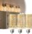 JANDCASE 3 Pack Led Bulb