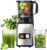 PSIIDAN Cold Press Juicer