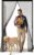 YETTSOY Magnetic Screen Door