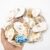 QICQDRAM 20PCS Flat Oyster Shells 2-3″ Small Natural White Shells for Crafts, Home Vase Filler, Xmas Ornaments, DIY Arts and Crafts