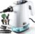 TEEVOGO 3S Fast Heat Handheld Steam Cleaner