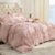BEDSURE Comforter Set