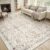 MONTVOO Vintage Area Rug