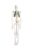 85cm Human Skeleton Model, Detachable PVC Bones 1pc