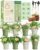 8 Herb Indoor Window Garden Kit – Complete Set with Tools – Unique Gift for Women, Mom, Friend – Birthday, Christmas, Mother’s Day – Beginner Gardening Lovers for Kitchen Windowsill