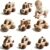 8PCS Wooden Baby Toys,Montessori Push Pull Wooden Cars,FSC Natural Wood Gift for 1-3 Toddlers Boys Girls