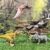 EKU Dinosaur Toys Wing Flapping Pterodactyl Toy Quetzalcoatlus, Chomp Action T Rex Tyrannosaurus, Head Moves Attack Triceratops Realistic Dino Action Figures for Kids 3-12 Jurassic World Toys