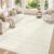 GENT DRIZZ 5X7 Area Rugs