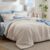 Bedsure Comforter Set