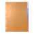 A4 Binder Index Dividers 25 Pack for 3 Ring Binder, PP Tabs Loose Leaf Notebook Organizer