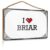 AFGD Door Decoration Hanging Wood Sign/Wooden Plaque & Motivational Posters – House Decoration Living Room | Rustic Bathroom Decor, I Love Briar(20X30CM)