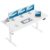Agilestic Electric Height Adjustable Standing Desk, 63 Inch, Arctic White