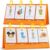 Alened Sentence Building Flash Cards for Kids Ages 5-8, Learn to Read Phonics Toy, Word Games, Speech Therapy Materials, Education Kindergarten Classroom Must Haves for 1st 2nd Grade