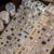 Alideco 4pcs Decorative Adhesive Tapes Vintage Frame (caiyuxiaokuang)