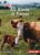 All Kinds of Farms (Let’s Look at Farms (Pull Ahead Readers ― Nonfiction))