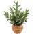 AlphaAcc 17.7″ Artificial Olive Plant in Water Hyacinth Basket – Faux Olive Tree for Desk, Office & Mediterranean Decor