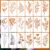 Amabro 18 Pcs Flower Stencils for Painting 6×3 Inch Floral Drawing Template