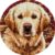 AMBATTERY DIY Latch Hook Rug Kit Crochet Kits for Adults,Animal Dog