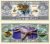 American Art Classics Dinosaur Million Dollar Bills Pack of 50