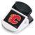 Aminco NHL Calgary Flames Magnetic Rectangular Chip Clip