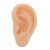 Amosfun Simulation Silicone Left Ear Model for Teaching and Practice, Human Ear Anatomy Copy Made of Safe Beige Silicone, for Training and Display