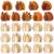 Amyhill 24 Pack DIY 3D Thanksgiving Turkey Wood Crafts to Paint for Adults Fall Paintable Unfinished Wooden Slices for Autumn Craft Table Home Decor Thanksgiving Harvest Party
