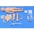 Anatomy Doll Figure Model for Nursing Training with Airway Management, Venipuncture, Catheterization, Ostomy Care, and Movable Joints, Anatomical Models Human Body Study Tools