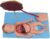 Anatomy Models, Fetal Model with Visceral Structure 13 PCS Detachable Science