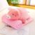 Animal Soft Hand Warmer Pillow and Cushion Soft Stuffed Plush Pillow Air-Condition Blanket 2 in 1 Cushion (Color : A) (B)