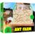 Ant Farm Kit for Kids – Farms Colony – Includes Ants Voucher – Sand Habitat