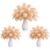 AntiLousy 11-14” Champagne Ostrich Feathers 60 Pcs Champagne Feathers for Wedding Centerpieces, DIY Crafts, and Floral Arrangements