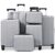 Anwick 6 Piece Luggage Sets, ABS Hardside Suitcases with Spinner Wheels, TSA Lock, Side Hooks, Carry-On & Checked Travel Luggage Set for Men & Women Family Travel (Silver Gray)
