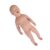 AonVengeur Anatomy Study Tools Human Body Model, Newborn Growth Care Simulator for Anatomy and Physiology Study, Figure Model with Realistic Anatomia Humana Details for Educational Use