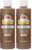 Apple Barrel Gloss Acrylic Paint in Assorted Colors (8 oz), Gloss Real Brown (Pack of 2)