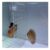Aquarium Divider Kits – Clear Acrylic Panel with Suction Cups, Fish Tank Separator for Betta Fish, Space Divider, 71x55cm, Durable, Easy Install, Perfect for Aquatic Habitats